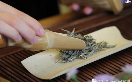 普洱茶梗的来源、作用及如何避免：一个全面的解答