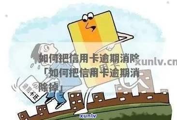 信用卡逾期后如何撤销？了解详细操作步骤和注意事项