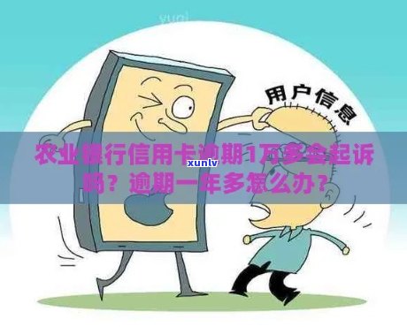 农行信用卡逾期还款超过一万元，我该怎么办？