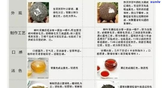 车顺号普洱茶全面评价：品质、口感、功效及泡法解析，助你轻松选择优质茶叶