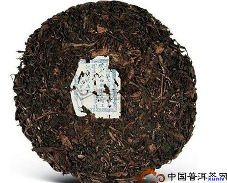 车顺号哪几款茶比较好-车顺号的茶怎么样