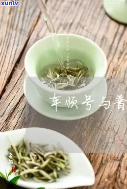 车顺号哪几款茶比较好-车顺号的茶怎么样