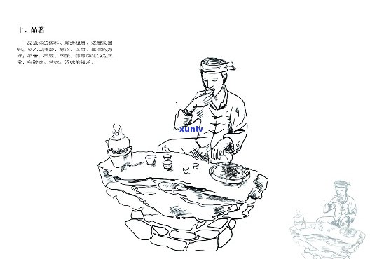 普洱茶画画：普洱茶绘画、普洱茶画法、普洱茶简笔画怎么画