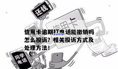 青海省信用卡逾期举报 ***  - 综合处理信用卡逾期问题与提供相关举报途径