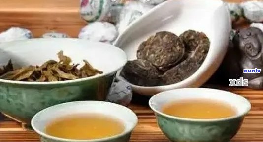 普洱茶品质与口感：如何挑选好喝的普洱茶？