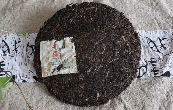 普洱茶饼1能放多久