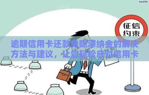 逾期信用卡还款攻略：如何应对信用卡滞纳金和信用记录影响？