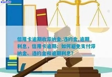 逾期信用卡还款攻略：如何应对信用卡滞纳金和信用记录影响？