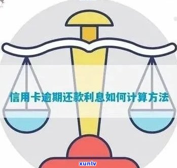 信用卡逾期五年还款总额计算器：如何准确估算所需还款金额？