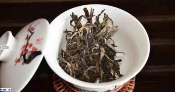 古树普洱茶什么意思：古树普洱茶好不好，功效与作用，口感与区别。