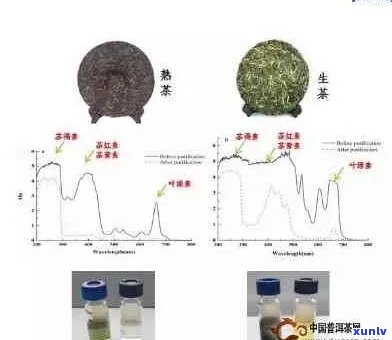 普洱茶的健益处与潜在风险：为何适量饮用才是关键