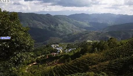 普洱茶十大茶山特点介绍：云南六大茶山独特风貌解析