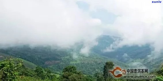 普洱茶十大茶山特点介绍：云南六大茶山独特风貌解析