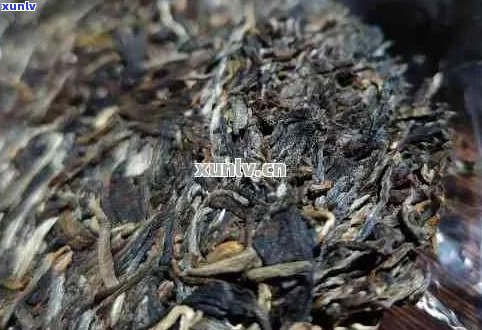 云南普洱茶：哪个产地的茶叶最值得品鉴？