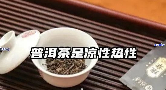 普洱茶是不是寒性的