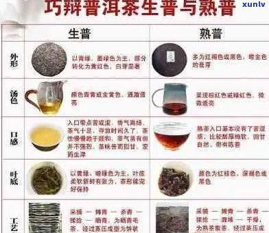 云南普洱茶香天下勐海：探索产区文化、品鉴茶叶口感与购买途径的全面指南