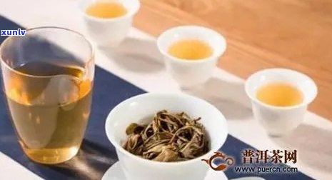 儿饮茶安全：普洱茶是否适合他们？