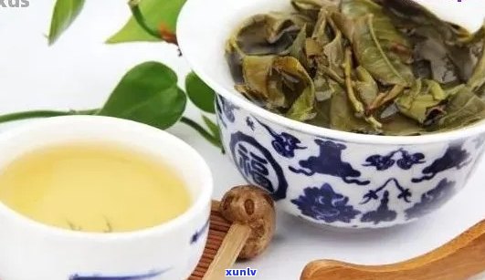 新 海普洱茶：品质越，口感独特，是值得品尝的茶叶佳品