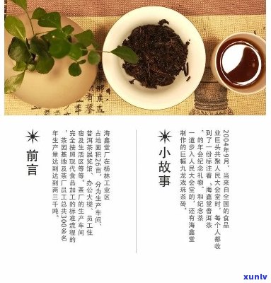 海堂普洱茶_云南名优茶叶官方网站_古树茶专享_品质生活之选