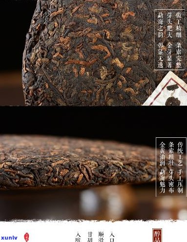 海堂普洱茶_云南名优茶叶官方网站_古树茶专享_品质生活之选