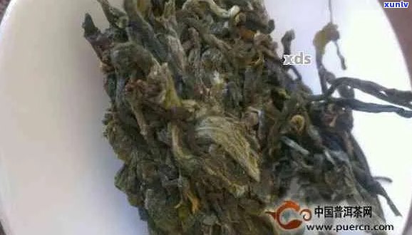 黄草坝普洱茶：品味魅力与挑战，探究其独特优缺点