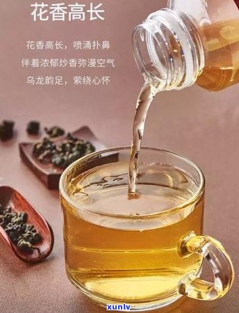 普洱茶饼可以放冰箱吗？能放多久？