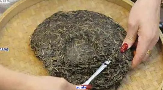 普洱茶饼泡水要洗吗