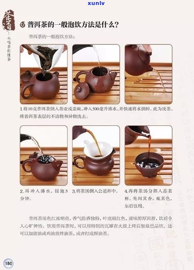 如何泡好纯料普洱茶