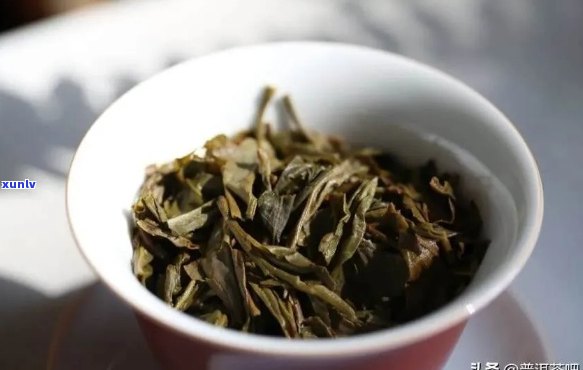 邦协春茶是普洱茶还是绿茶？