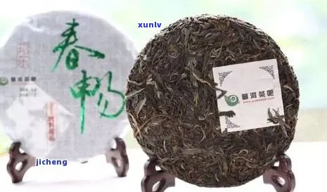 邦协春茶是普洱茶吗