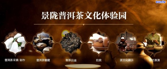 普洱茶之旅：一次文化、口感与历的全方位体验馆策划方案