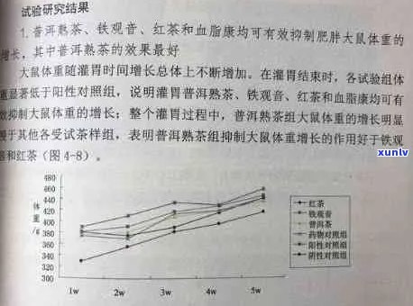 揭秘普洱茶的三大活性成分及其对人体健的多重益处