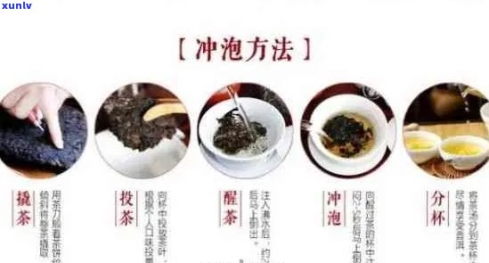 泡普洱茶的全流程：从洗茶到品茗的详细指南