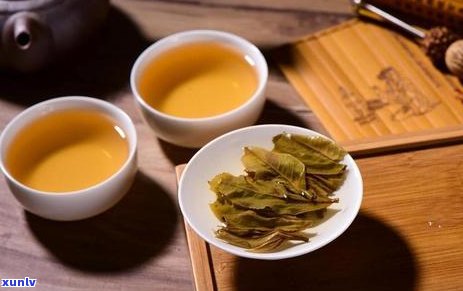 从原料到成品：探究普洱茶饼茶的精细加工过程及其独特魅力