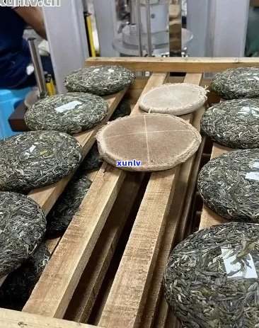 从原料到成品：探究普洱茶饼茶的精细加工过程及其独特魅力