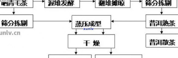 源·普洱茶：探索品质、 *** 工艺与功效的全方位解读