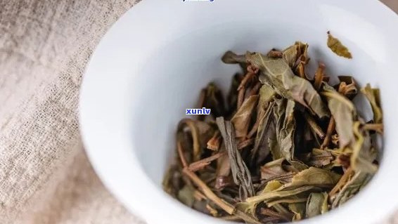 泡普洱茶不能留底吗