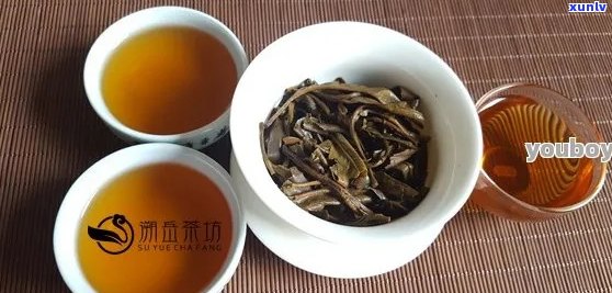 泡普洱茶不能留底吗