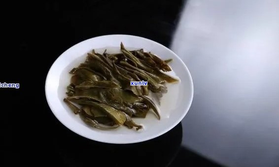 泡普洱茶不能留底吗