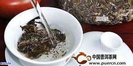 每天饮用普洱茶对身体有何益处？