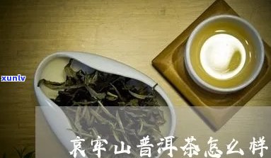 哀牢山的茶怎么样-哀牢山有哪些好茶