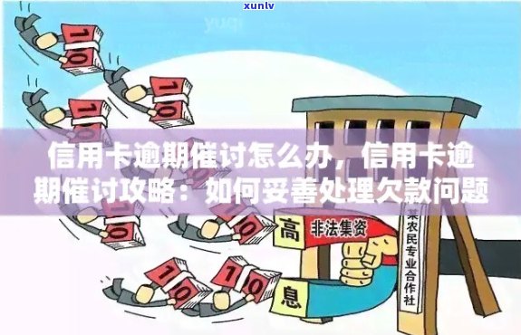 信用卡逾期应对全攻略：如何还款难题、规避手并维护个人信用？