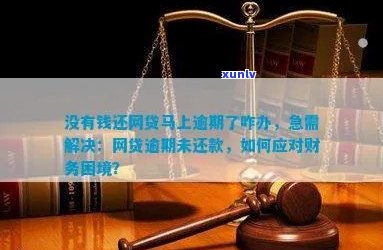 信用卡逾期后如何通过 *** 贷款解决财务困境？