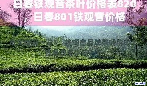 日春茶业产品价格大全：了解各系列茶叶的市场行情及优活动