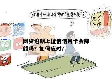 信用卡逾期怎么上网贷了