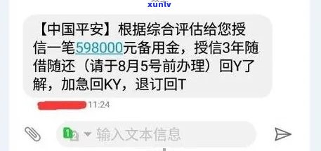 境外短信通知下款，境外短信下款真实性，境外短信贷款到账情况