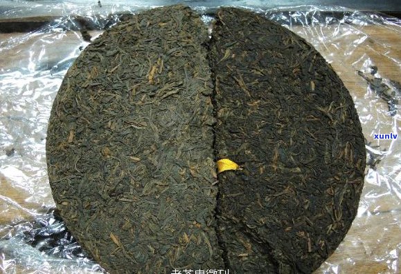 普洱茶干仓与湿仓：哪种更好？