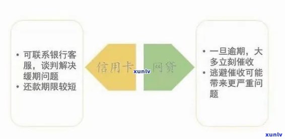 信用卡逾期还款的全方位解决指南：了解退息流程、影响及预防措