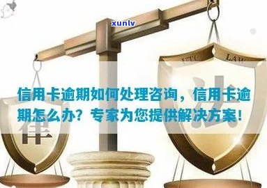 台州信用卡逾期处理报价：专家指导，一站式解决逾期难题