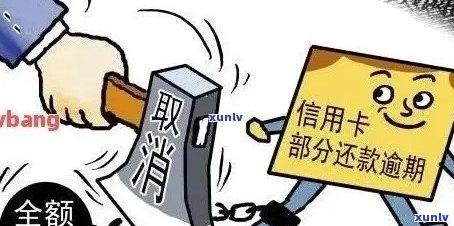 昆明信用卡逾期问题一站式咨询：还款策略、影响及解决方案